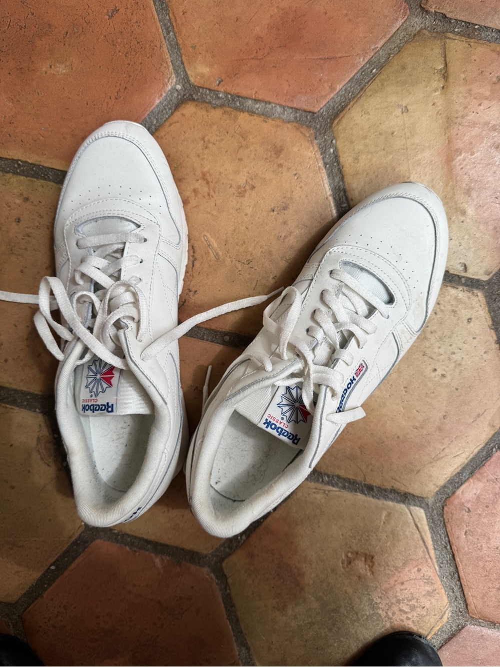 Reebok White Low-Top Leather Sneakers
